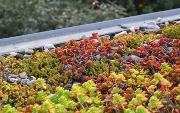 the cost of Ridgeway Moor green roof installation