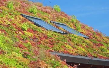 Ridgeway Moor living roof systems